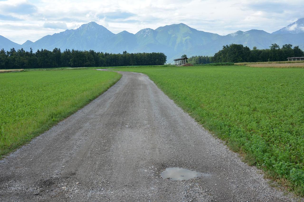 Apartma Vidmar Šenčur Bagian luar foto